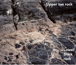 Which of the following are valid criteria for inferring the relative ages of the two rock types in this photograph?   A)  The black rock is younger because it is on the bottom. B)  The tan rock is younger because it contains pieces of the black rock. C)  The black rock is younger because it is crosscut by the tan rock. D)  The evidence is contradictory about the relative ages of these two rocks.