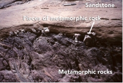 What can you interpret about the relative ages of the rocks and features in this photograph?   A)  The sandstone is older because it is lighter in color. B)  The metamorphic rock is older because it is rougher from longer weathering. C)  The metamorphic rock is older because pieces of it are in the sandstone. D)  The sandstone is older because it is on top.