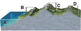 Which letter on the accompanying figure indicates depth?   A)  A B)  B C)  C D)  D