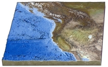 Which of the following features is present on the seafloor off the Pacific Northwest?   A)  world's largest oceanic plateau B)  long, fairly straight fracture zone C)  world's largest linear island chain D)  island arc within oceanic plates