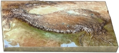 Why does the Tibetan Plateau, shown in this figure, have a high elevation?   A)  transform faulting B)  seafloor spreading C)  continental rifting D)  continental collision E)  hot-spot activity