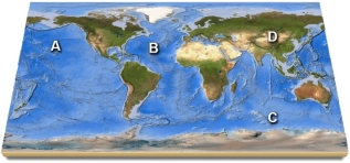 On this map, identify which letter is over the Pacific Ocean.   A)  A B)  B C)  C D)  D E)  feature is not labeled