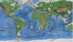 Which areas)  on this world map is likely to have earthquakes?   A)  A B)  B C)  C D)  D E)  A, B, and C only