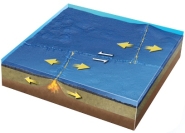 What types of plate boundaries are shown in this figure?   A)  divergent B)  convergent C)  transform D)  divergent and transform E)  convergent and divergent