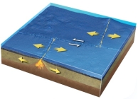 What type of plate boundary is depicted by the smaller arrows in the center of this figure?   A)  divergent boundary B)  convergent boundary C)  transform boundary D)  hot spot E)  none of these