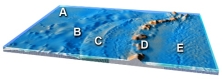 Which feature on this figure is formed by melting of mantle above the slab?   A)  A B)  B C)  C D)  D E)  E