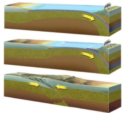 The convergence of two continental masses is known as an) :   A)  continental collision B)  subduction C)  conduction D)  divergent collision