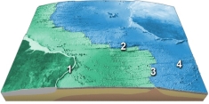 On the accompanying figure, what type of feature is located in the area of number 2?   A)  transform fault B)  mid-ocean ridge C)  linear island chain D)  fracture zone