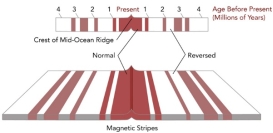 If the area shown in this figure is 240 kilometers wide, and the oldest crest is 4 million years old, what was the approximate rate of seafloor spreading across this ridge?   A)  0.24 kilometers per million years B)  2.4 kilometers per million years C)  60 kilometers per million years D)  240 kilometers per million years E)  960 kilometers per million years