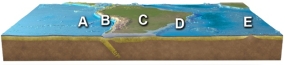 Where is subduction occurring on this figure of South America?   A)  A B)  B C)  C D)  D E)  E