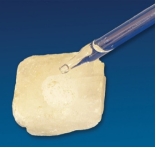 What mineral test is shown in this photograph?   A)  scratch test B)  effervescence C)  streak D)  magnetism E)  specific gravity