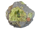 Which layer in the earth has a composition similar to the green olivine in the center of this rock?   A)  continental crust B)  oceanic crust C)  mantle D)  core