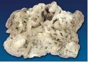 From the list provided below, choose those observations that accurately describe the mineral presented in this image.   A)  This mineral does not have cleavage. B)  This mineral effervesces with dilute HCl. C)  This mineral has a metallic luster. D)  This mineral flakes into thin sheets. E)  None of these.