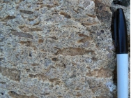 What does this welded texture indicate about the formation of this rock?   A)  It formed from an explosive pyroclastic eruption. B)  The rock solidified at great depth. C)  The magma formed some crystals before rising closer to the surface and solidifying. D)  The magma had abundant dissolved gas.