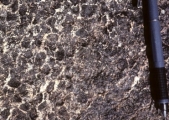 Which of the following rock photographs depicts a felsic igneous rock? A)    B)    C)    D)   