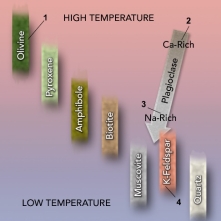 On this figure of Bowen's Reaction Series, which mineral would crystallize last from magma?   A)  1, olivine B)  2, calcium-rich plagioclase C)  3, sodium-rich plagioclase D)  4, K-feldspar