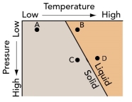 What is a path for magma as it solidifies at great depth and then is uplifted slowly toward the surface?   A)  from B to A B)  from C to A C)  from C to B to A D)  from D to C to B E)  from D to C to A