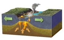 Which of the following is characteristic of continental rifts?   A)  some magmas are felsic and intermediate B)  heat from hot, mafic magma can melt continental crust C)  solid asthenosphere undergoes decompression melting D)  all of these