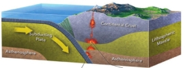 Most subduction-derived magma never reaches the surface. However, what is formed if this type of magma reaches the surface of a continent?   A)  belts of volcanoes B)  lines of calderas C)  basalt fissure