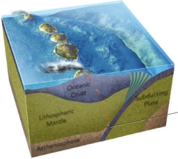 As magma is generated along a subduction zone:   A)  the subducted plate melts in response to the increase in temperature B)  minerals in the subducted plate release water, which lowers the melting temperature of the mantle material above C)  friction from the act of subduction melts both the subducting and overlying plates