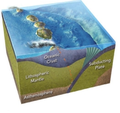 What is formed when an oceanic plate subducts into the mantle at a convergent boundary?   A)  magma B)  reefs C)  a caldera