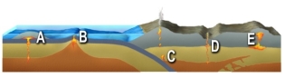 Which of the magma systems shown is most likely to include felsic or intermediate magmas?   A)  A and B B)  B and C C)  A, B, and C D)  B, C, and D E)  C, D, and E