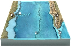 Which of the letters shown on this figure would most likely include some intermediate to felsic magmas?   A)  B and C B)  A and C C)  A, B, and C D)  B, C, and D E)  B, D, and E