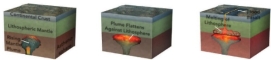Which of the following are hypothesized sources of the magma that produces flood eruptions?   A)  Melted lithosphere over a mantle plume B)  Melted asthenosphere from around the plume in the shallow mantle C)  Plume material from deep in the mantle that melts at shallow depths D)  All of these