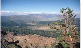 Which of the following is a recognizable characteristic of recent calderas?   A)  Steep-sided basin-shaped depression B)  Large, conical mountain form C)  Long, narrow valley