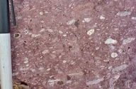 This igneous rock contains flattened pieces of pumice and small crystals of quartz and feldspar. What type of rock is it?   A)  basalt B)  rhyolite or obsidian C)  welded tuff D)  volcanic breccia