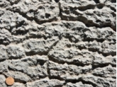 What type of weathering is best expressed in this weathered limestone?   A)  oxidation B)  dissolution C)  hydrolysis D)  biologic activity