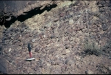 What type of rock is shown in this photograph?   A)  conglomerate B)  breccia C)  sandstone D)  siltstone or shale