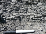 What type of rock is shown in this photograph?   A)  conglomerate B)  breccia C)  sandstone D)  siltstone or shale