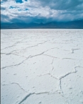 What type of rock would you form in this environment, showing a dried up lake bed?   A)  rock salt and other evaporite minerals B)  limestone C)  coal D)  chert E)  iron formation