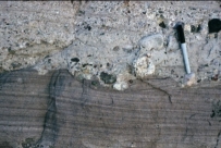What can you infer from this contact between an overlying conglomerate and underlying sandstone?   A)  The conglomerate was deposited by the wind. B)  There was a gradual switch from marine to nonmarine conditions. C)  There was a gradual switch from nonmarine to marine conditions. D)  There was an abrupt event, such as a flood.
