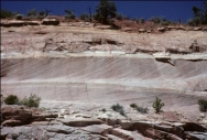 The large cross beds in these rocks indicate that the sediment was deposited:   A)  deep in the ocean B)  in a lake with a gently sloping bottom C)  by the wind or a water current D)  by a debris flow E)  all of these
