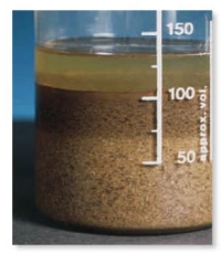 The most likely cause of graded bedding found in sedimentary rocks and exemplified in this photograph is:   A)  reduction in water current velocity B)  increase in water current velocity C)  settling after uniform deposition D)  change in wind direction moving across the top of the jar
