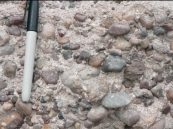 What do the characteristics of the rock in this photograph tell you about its environment?   A)  deposited by the wind B)  transported a short distance C)  transported a long distance or worked by waves D)  deposited in a lake