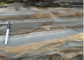 These sandstone beds are interlayered with dark marine shales. What is the most likely environment in which the sandstone formed?   A)  sand dunes B)  river C)  beach next to a sea D)  deep-water turbidity currents