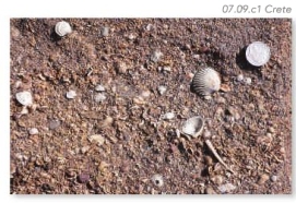 A sandstone containing mostly sand but mixed with rounded pebbles and pieces of shells indicates deposition:   A)  by waves at the beach B)  by wind in dunes C)  by water far offshore D)  by mass wasting events