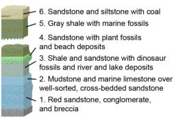 Which of the following units was most likely deposited in the deepest marine water?   A)  unit 5 B)  unit 4 C)  unit 3 D)  unit 2 E)  unit 1