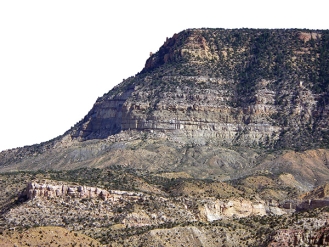 Observe the rocks and landscape in this photograph, which shows a sequence of layers. From the list of observations below, select the observation that you think is NOT valid. Refer to the Chapter 7 Investigation in your textbook for descriptions of the rock units.   A)  Near the bottom of the photograph is a ledge of tan and light-gray rocks. B)  The rocks in the cliff display layers of different thicknesses. C)  All of the rock layers weather and erode into nearly identical landscape features. D)  There are more trees or other types of vegetation in the upper part of the cliff than in the very bottom of the photograph.