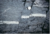 What type of deformation is shown in this photograph?   A)  displacement B)  rotation C)  internal strain of the rock D)  columnar joints