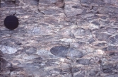 What type of deformation is shown in this photograph?   A)  displacement B)  rotation C)  internal strain of the rock D)  columnar joints