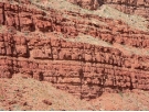 What types of structures are shown in this photograph?   A)  joints B)  normal faults C)  reverse faults D)  anticlines E)  synclines