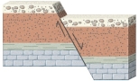 What type of fault is shown in this figure?   A)  normal fault B)  reverse fault C)  strike-slip fault D)  thrust fault