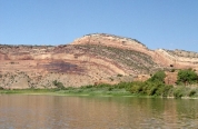 What type of structure is shown in this figure?   A)  thrust fault B)  anticline C)  syncline D)  monocline E)  basin