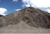 What type of structure is shown in this figure?   A)  thrust fault B)  anticline C)  syncline D)  monocline E)  basin