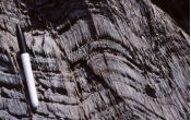 What type of metamorphic feature is shown in this photograph?   A)  thrust fault B)  normal fault C)  cleavage D)  hornfels