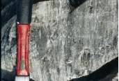 What type of metamorphic feature is shown in this photograph?   A)  anticline B)  syncline C)  monocline D)  lineation